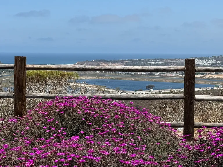 View from Overlook Park.