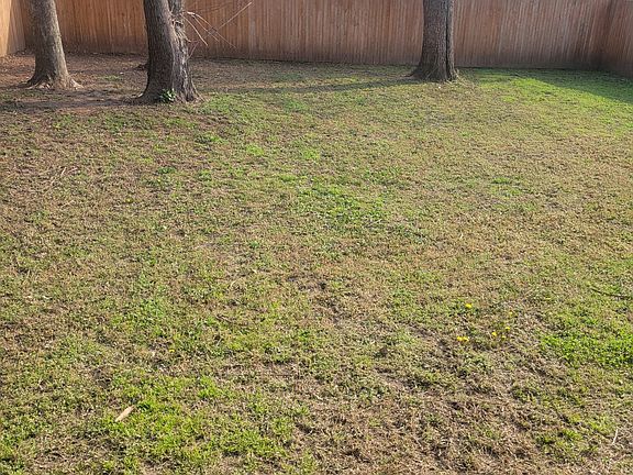 fenced yard