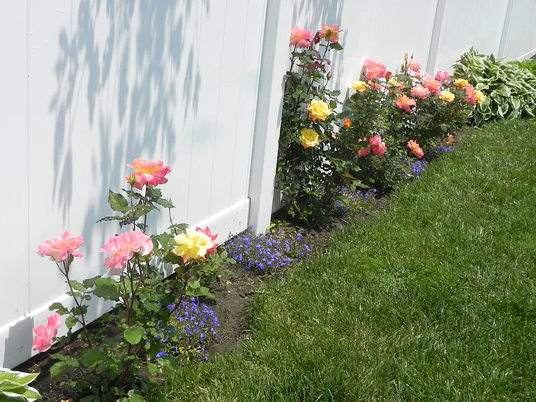 Backyard landscaping.