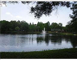 3rd image of 8627 Bonaire Bay Ln APT 303