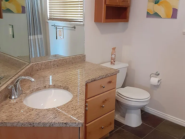 Master suite bathroom