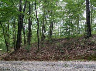 43 Colbert Mountain Rd #2, Blue Ridge, GA 30513