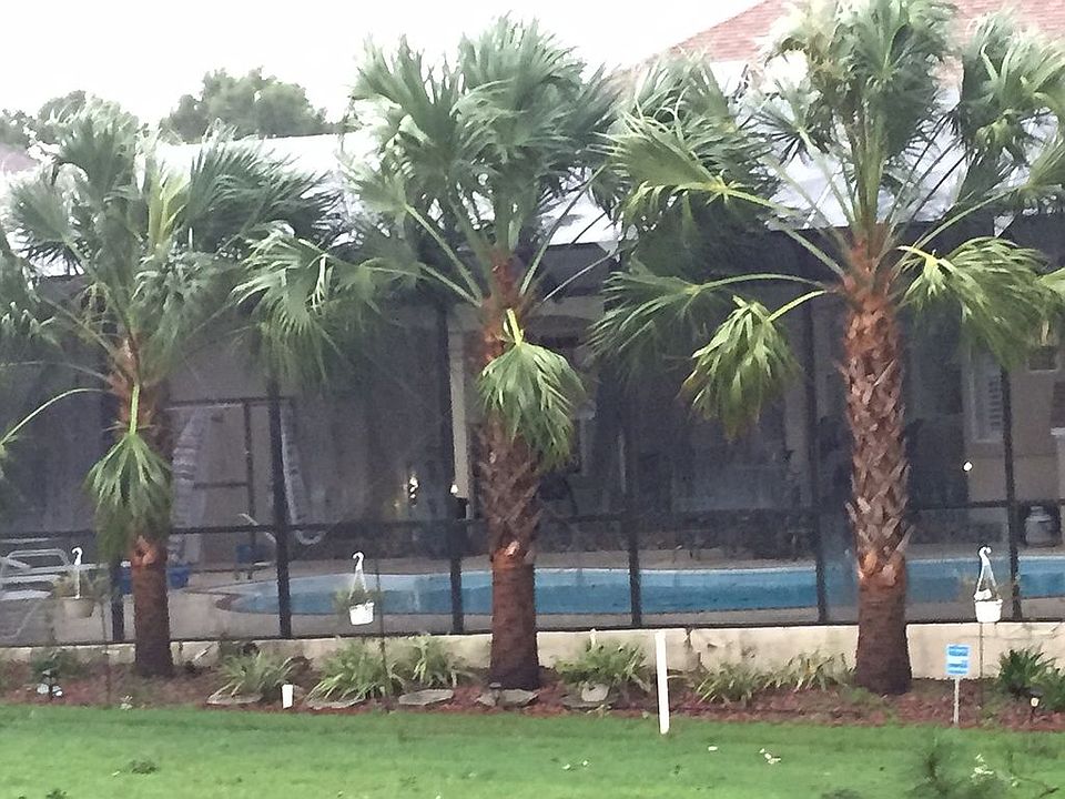 Golf course view of pool and
