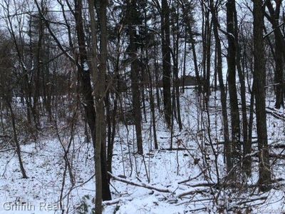 4510 Filbert Dr, Brighton, MI, 48116