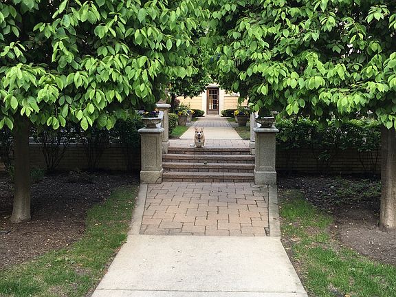 3rd image of 923 Hinman Ave APT 2G