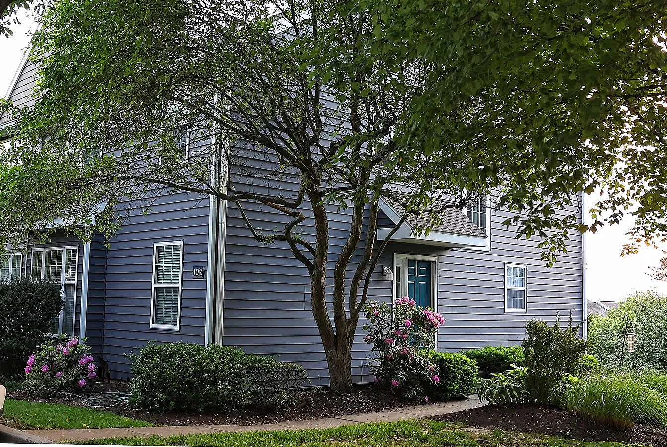 3 bed, 2.5 bath, $2,900 — Photo 1