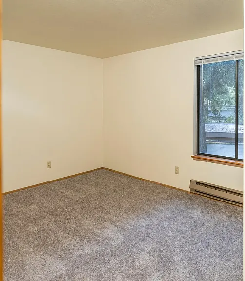 Plush Carpet