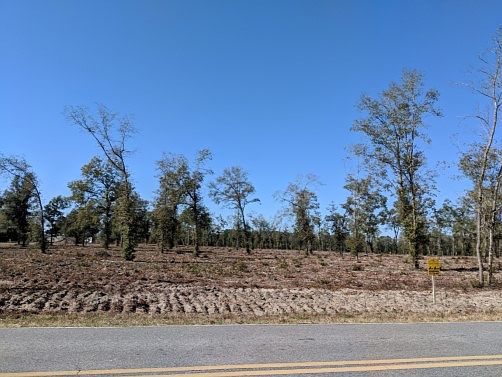1st image of County Road 136