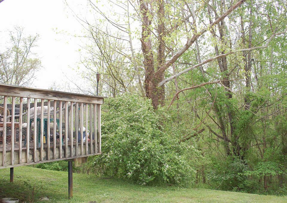 2nd image of 1730 Baltimore Dr