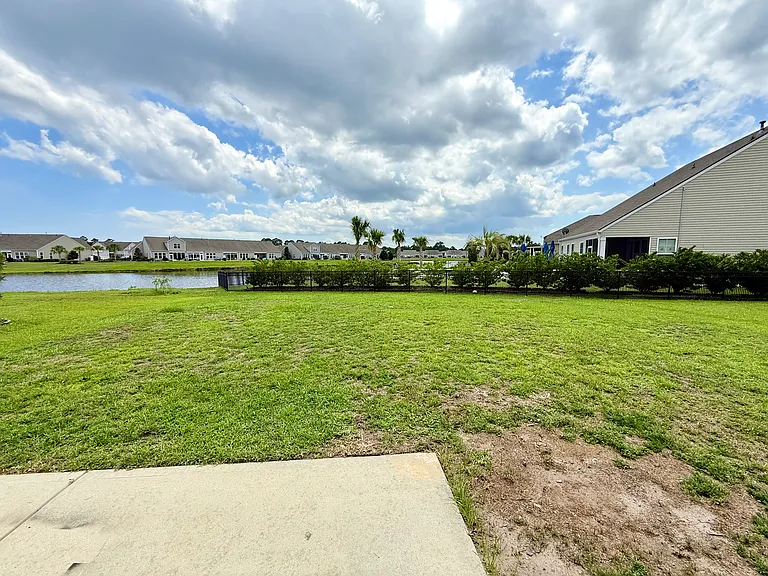 5373backyard_06242026