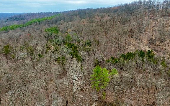 5th image of O'Pilot Knob Rd