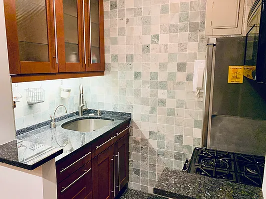 Rented by Luxus Manhattan Realty | media 15