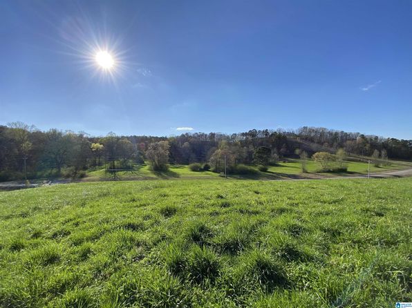 6423 State Highway 174 TRACT 4, Springville, AL 35146