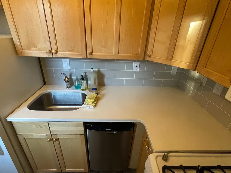 Sink, dishwasher, gas range, full size fridge