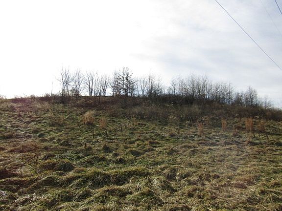 4th image of 213 Bauer Ln