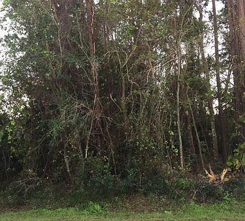 2nd image of 18 Woodshire Ln