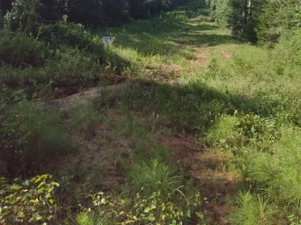 Dahlia Rd, Gilmer, TX 75644