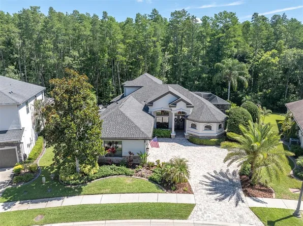 15223 Wind Whisper Dr, Odessa, FL 33556