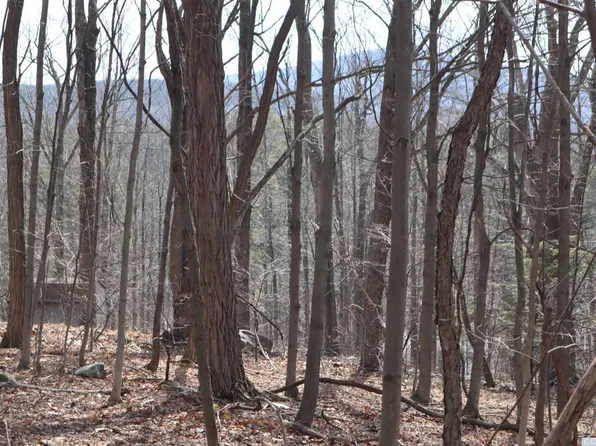 268 Hervey St, East Durham, NY 12423