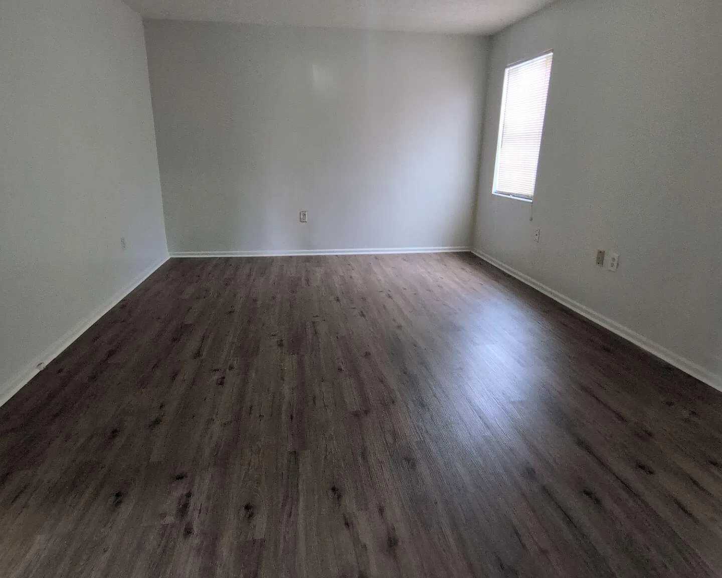2 bed, 1.0 bath, 808 sqft, $1,499 — Photo 4