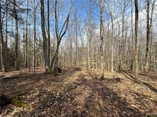 0 Tamarack Ln, Bath, NY 14810