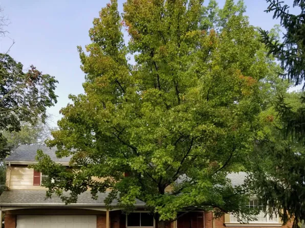 8881 Paw Paw Ln, Cincinnati, OH 45236