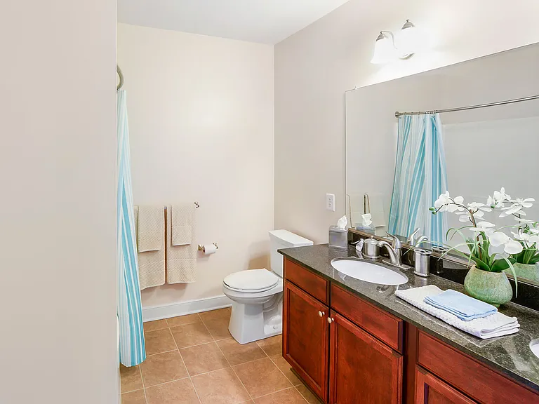 The Carlton at Greenbrier — Photo 10
