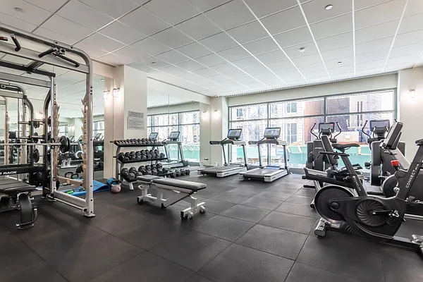 Rented by BARNES New York | media 23