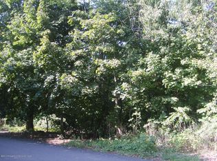 Spring St, Old Forge, PA 18518