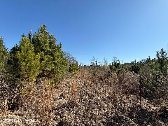 3rd image of 532 Mount Zion Rd