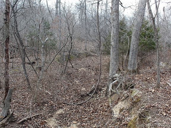 5th image of Troutdale Rd