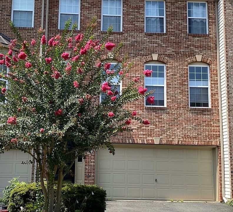 1st image of 4218 Trumbo Ct
