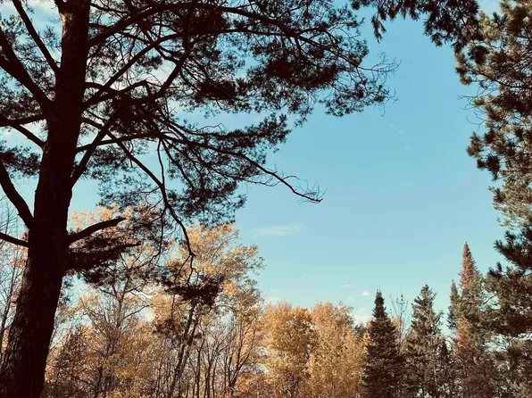 419 W Quince St, Duluth, MN 55811