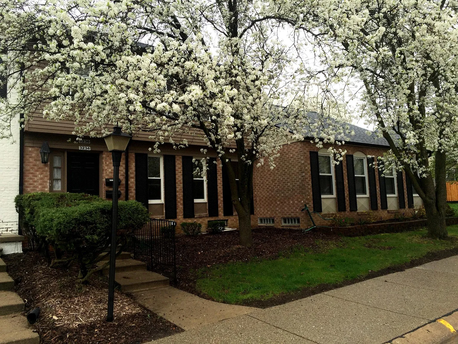 2 bed, 846 sqft, $1,800 — Photo 2