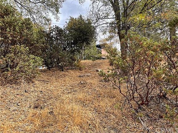 5th image of 1300 Evergreen Ln