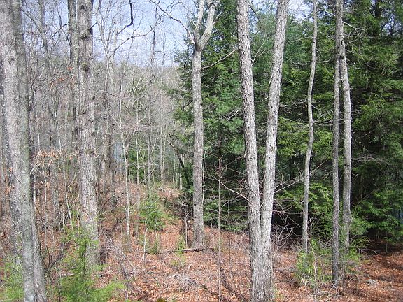 5th image of Basses Creek Ln