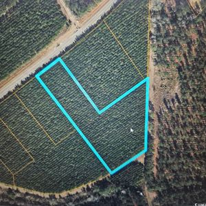 TBD Highway 45, Loris, SC, 29569