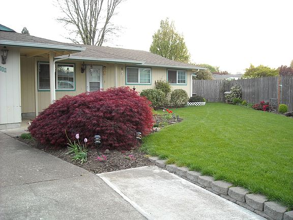Front Yard