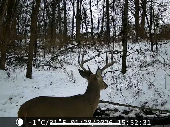 24501 Highway Ww, Eolia, MO 63344