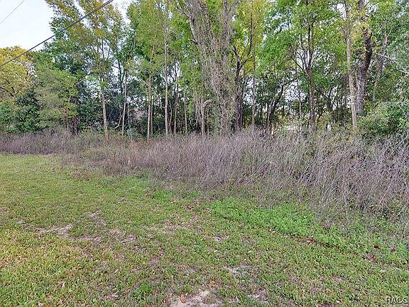 4th image of 5822 W Pine Cir