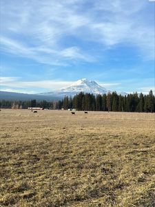 36 Trout Lake Hwy, Glenwood, WA, 98619