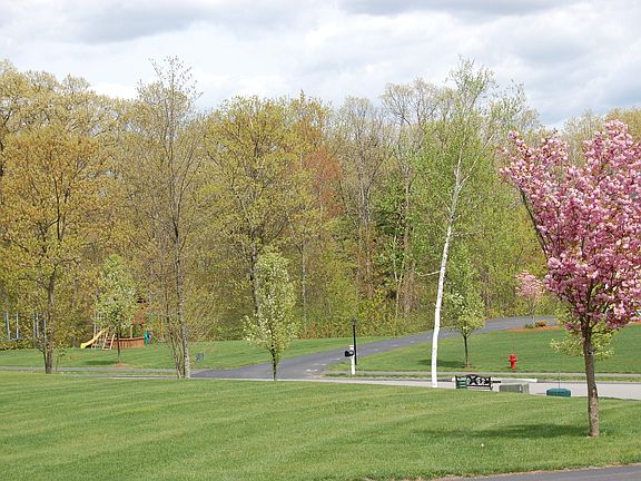 Front yard