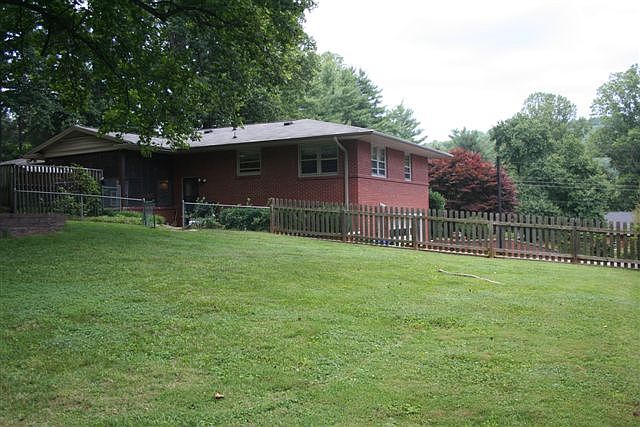 Back yard