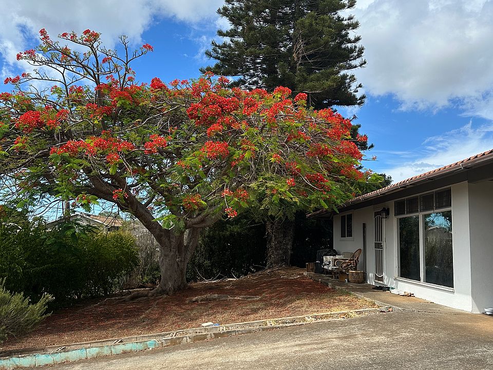 1st image of 173 Elilani St