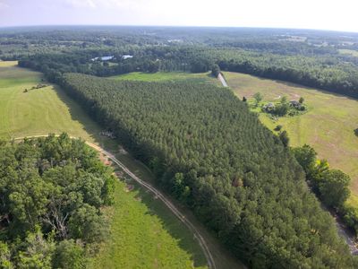 0 County Road 93, Anderson, AL, 35610