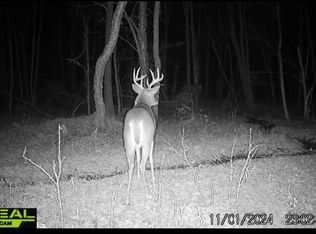 County Road 2, Brainerd, MN 56401