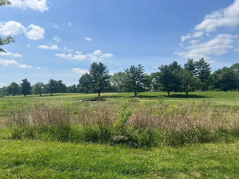 706 Golfview Dr — Photo 18