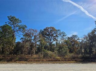 16392 Curlew Rd LOT 10, Brooksville, FL 34614