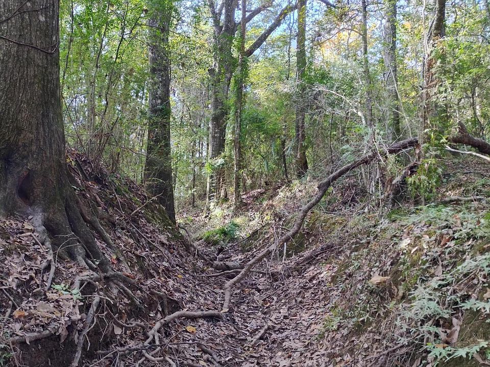 2nd image of Tbd Meche Rd