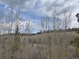 1582 Beaver Creek Rd, Fairplay, CO 80440